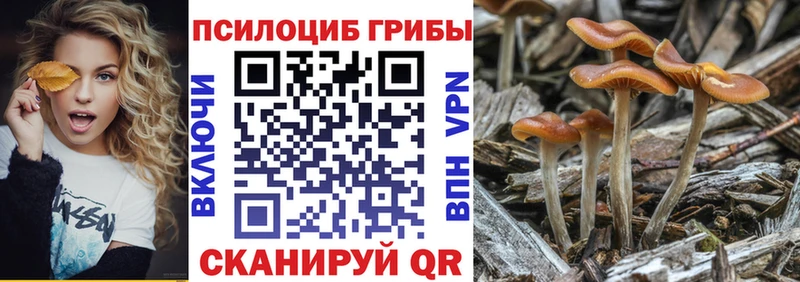 Галлюциногенные грибы ЛСД  купить наркоту  Анадырь 